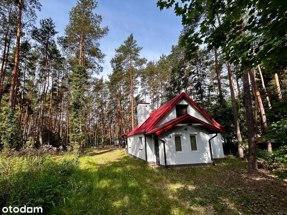 Dom w Nowych Załubicach – 4 pokoje, las, cisza i 30 min od Warszawy