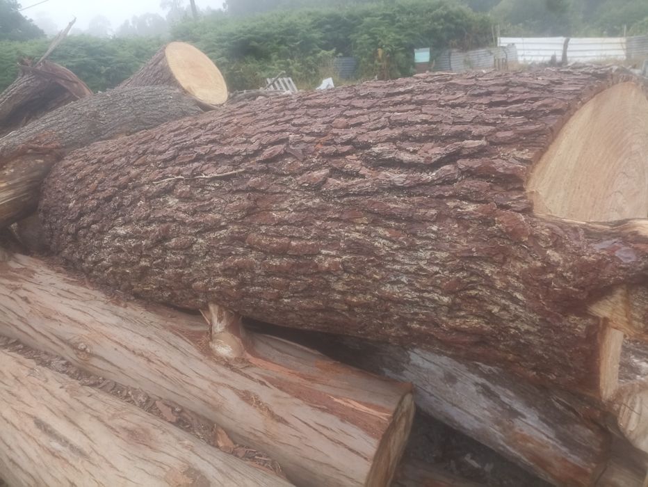 Lenha bem seca e madeira