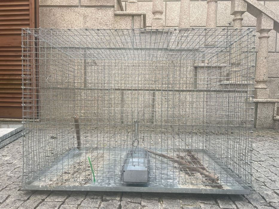 Gaiolas para aves
