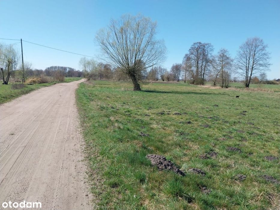 Promocja! 3 Działki Z Warunkami Zabudowy