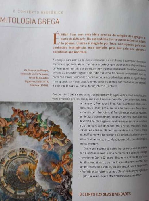 Odisseia - Homero (Clássicos da Literatura em BD)