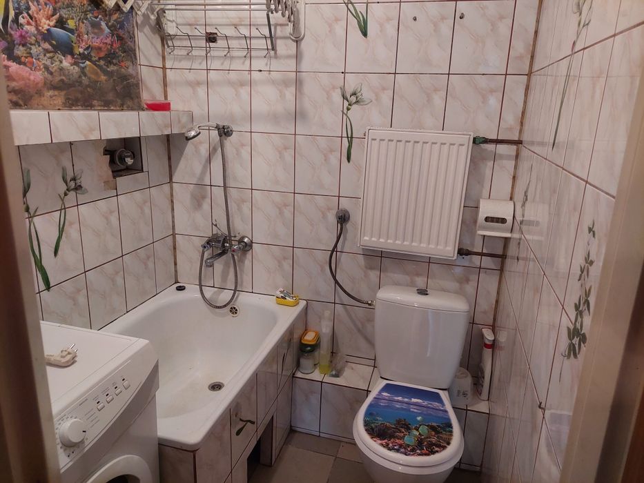 Zdjęcie 7