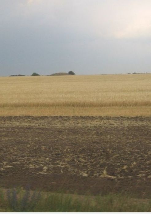 Продам земельный пай  4.71  га.12 000 долл.США.