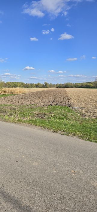 Działka rolna 1.33 ha - Widok 2