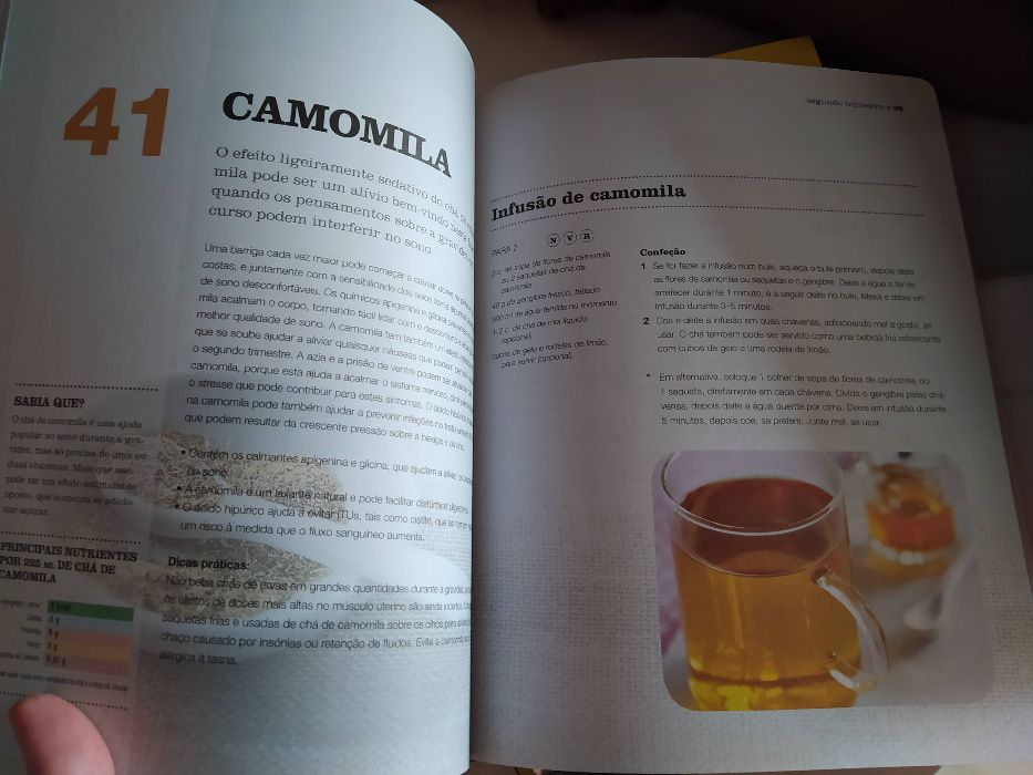 Livro 100 melhores alimentos gravidez