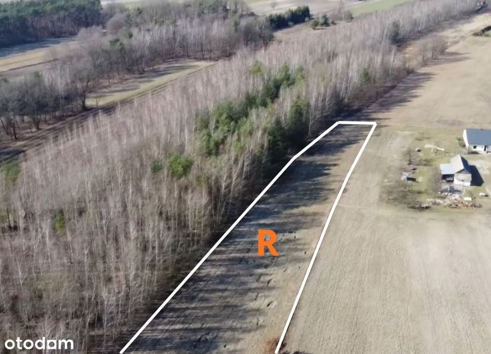 56 arów pod dom + las, razem 1,39 ha