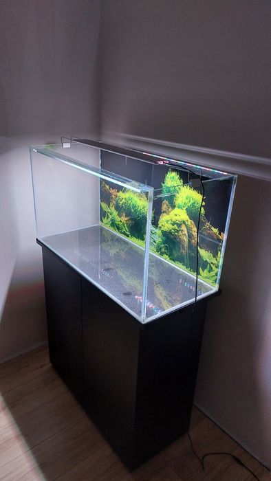 Akwarium optiwhite 145 l