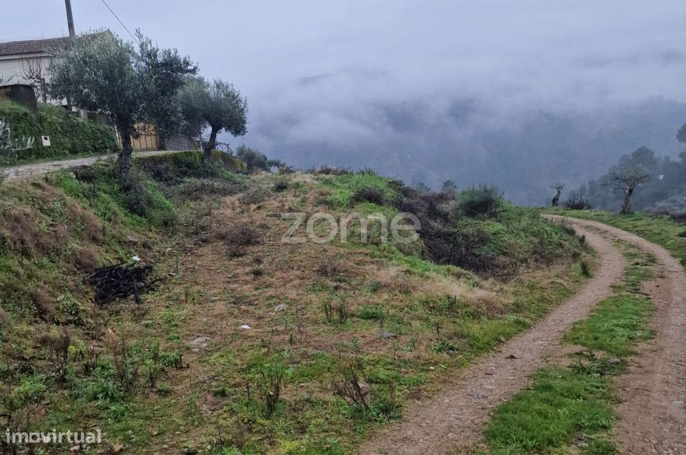 Terreno rustico , lugar do Plames, Murça
