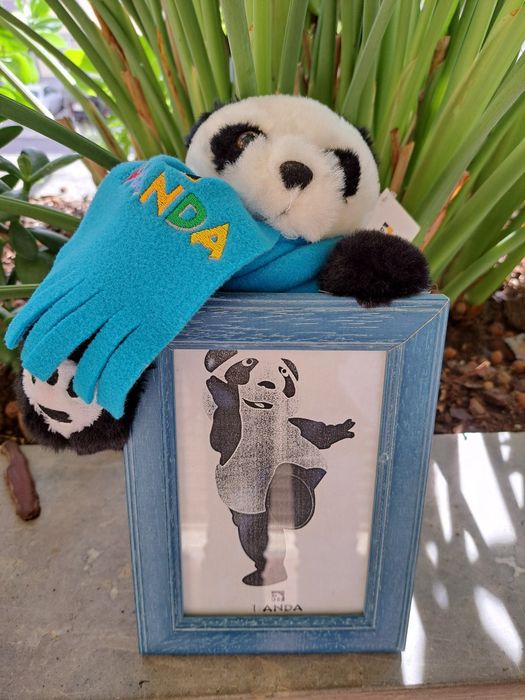 Moldura azul de madeira com Panda de peluche