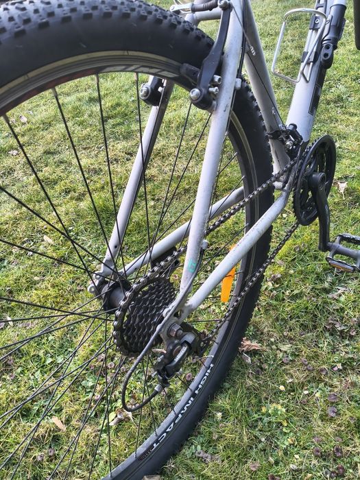 Rower 29 cali TeamRaider