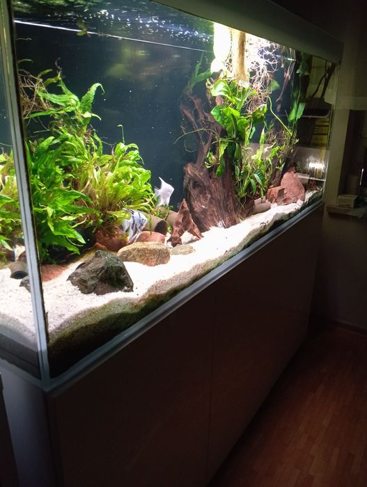 Akwarium Aquael glossy 405l