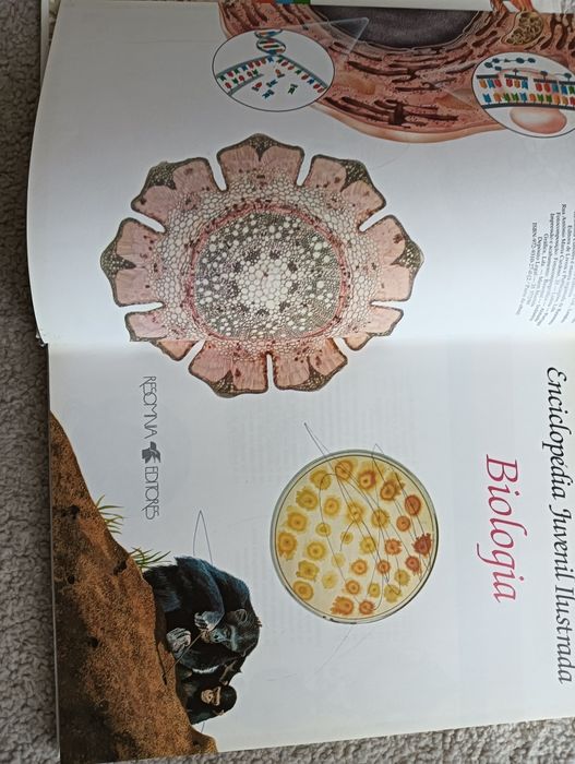 Biologia	Enciclopédia Juvenil  com muitas fotografias e ilustrações