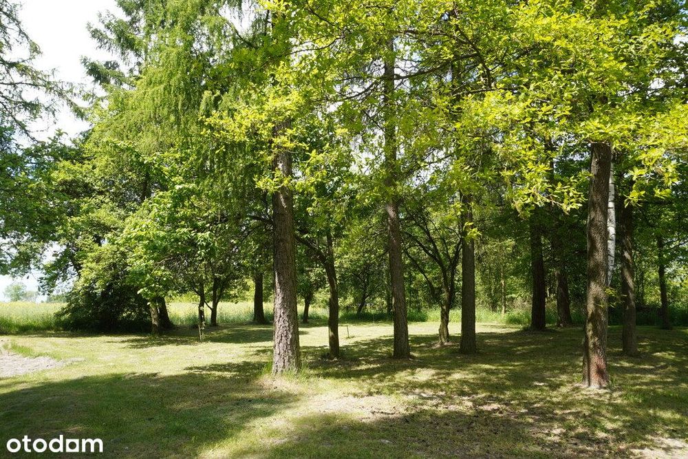 Dom z dużą działką 2455 m²