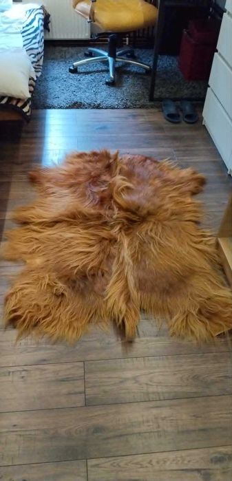 Skóra bydlęca highland cattle