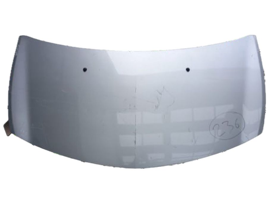 Capot RENAULT Clio III (BR0/1, CR0/1)