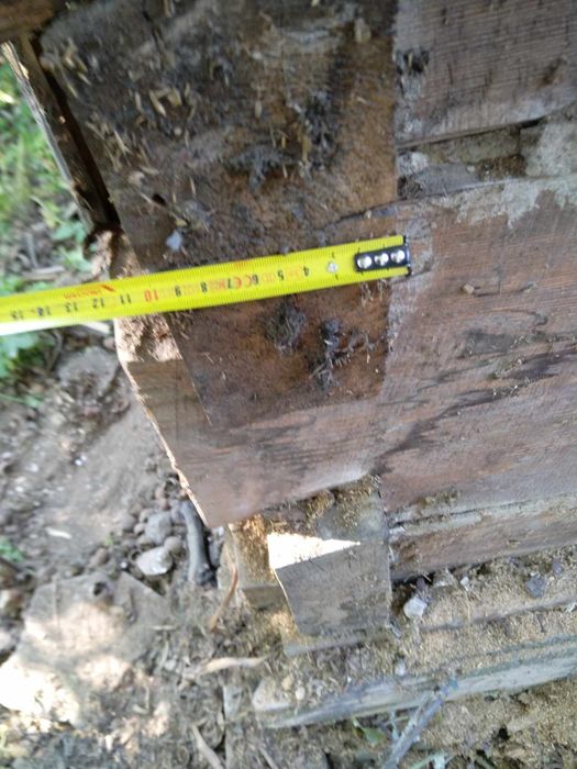 Starodrzew. Bale sosnowe, brusy