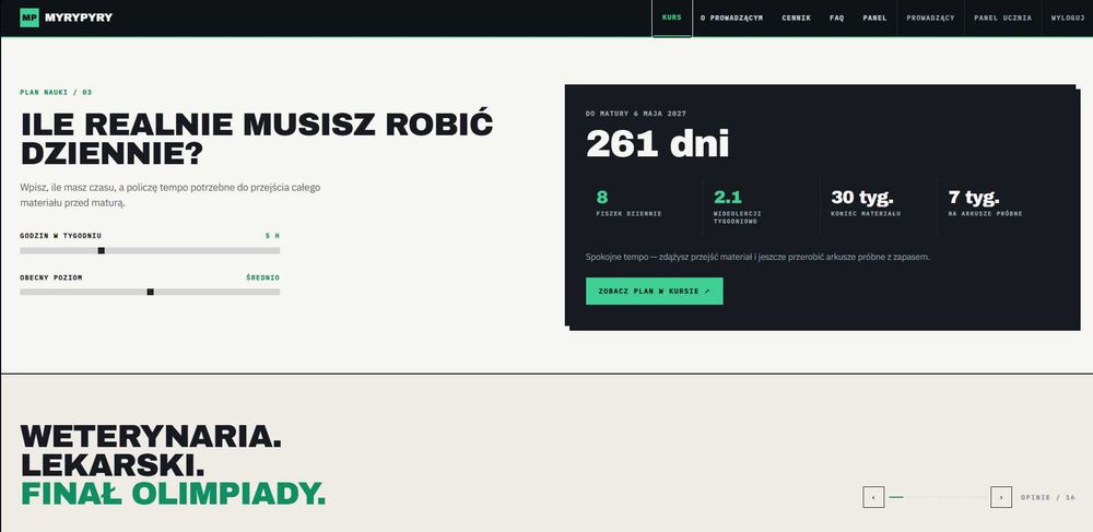 Strony internetowe i sklepy WWW — programista z działalnością, faktura