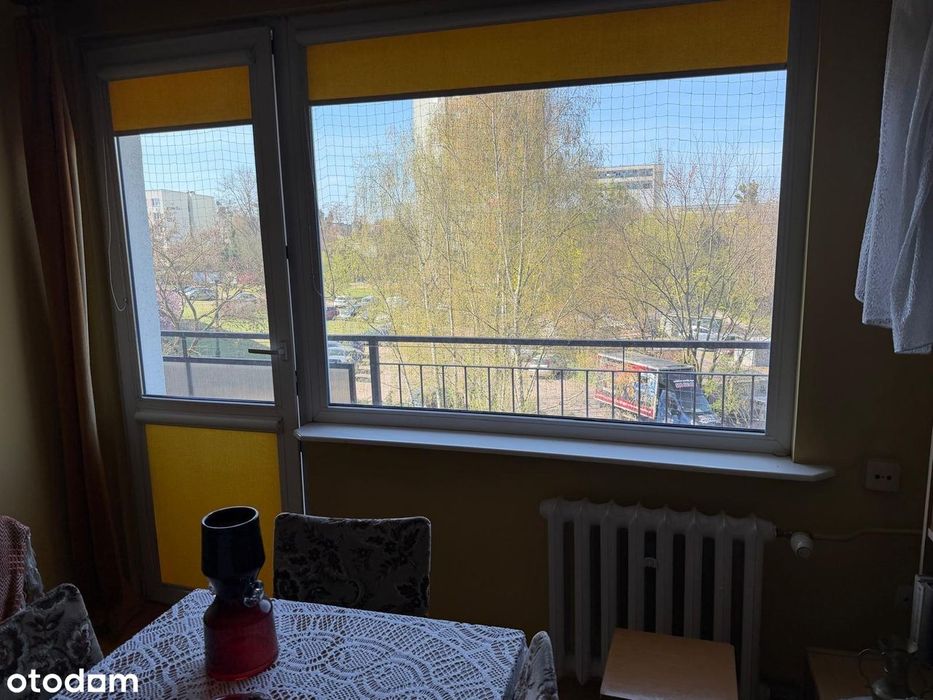 Mieszkanie blisko Centrum i Parków - Widok 2