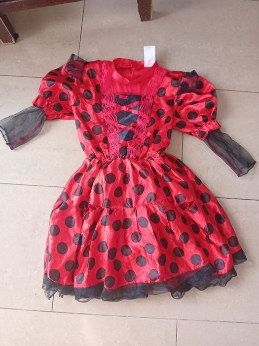 Stroj biedronki. Sukienka biedronki. Na 4latka