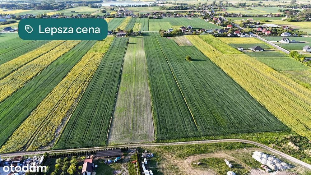 TANIE działki z WZ koło Zamościa