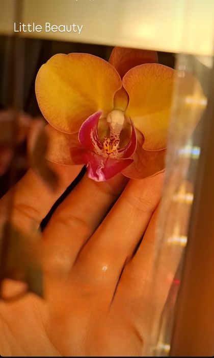 Фіто світильник Samsung LM281b+Pro – 20 ватт