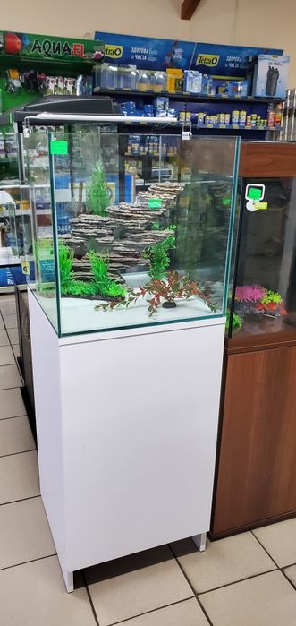 Акваріумістика, Виготовлення, Обслуговування, Ремонт, Запуск акваріума