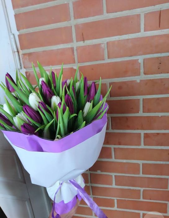 Тюльпан зріз опт 8 березня