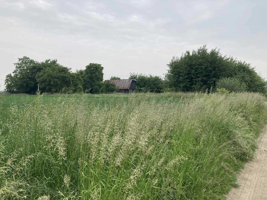 Emilianów Działka budowlana z domem i budynkiem gospodarczym 3800m2