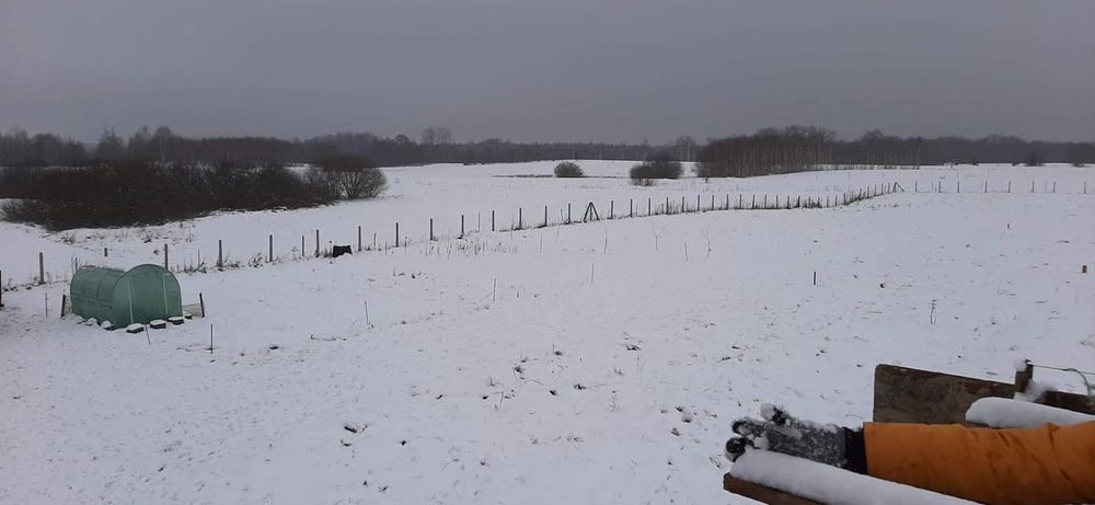 Sprzedam dom z dużą działką 7800m2