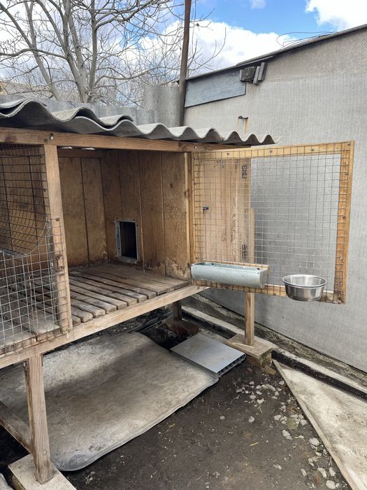 Клітки для кролів, маточник і для відгодовування бу