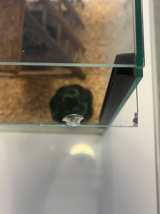 Terrário em vidro 30x30x30