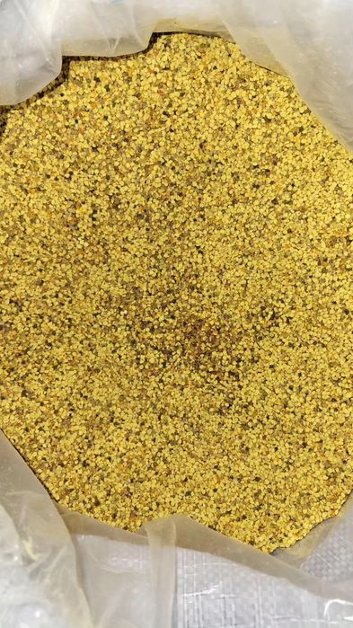 Pyłek Pszczeli 500 gram