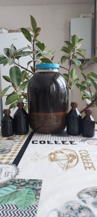 воскова міль,пжлвм, огнёвка пчелиная, восковая моль з власної пасіки.