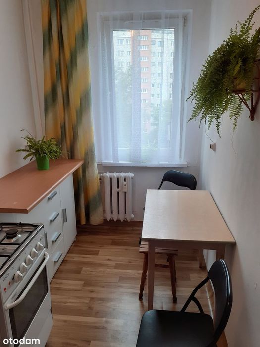 Tanio, wynajmę ul. Na Błonie, Kraków, wszystko w cenie, bez dod. opłat - Widok 4