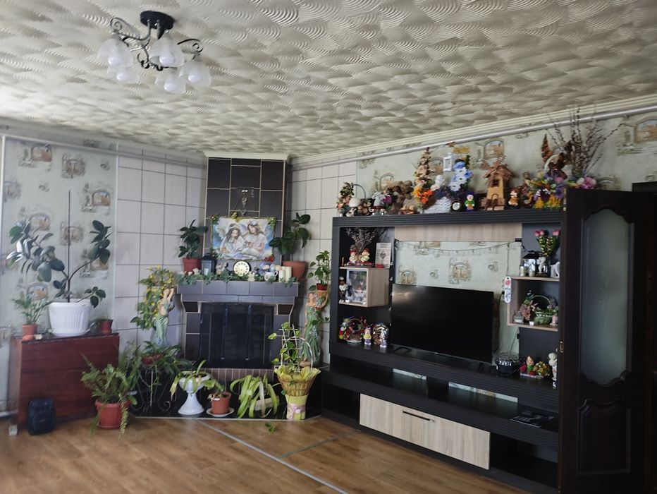 Будинок, господарчі приміщення, город