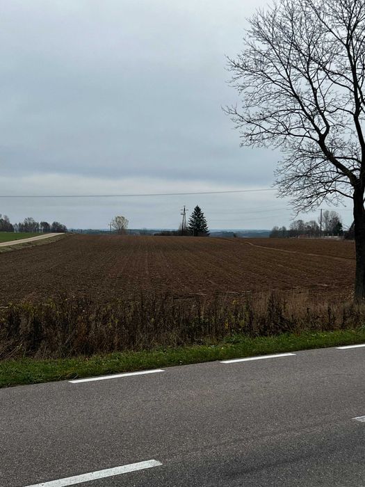 gospodarstwo rolne 8ha Harasimowicze  (Dąbrowa Białostocka) ZAMIANA