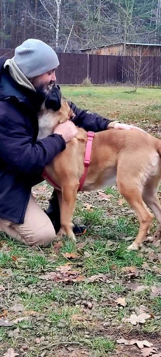 Rewelacyjny Pluto czeka na dom.