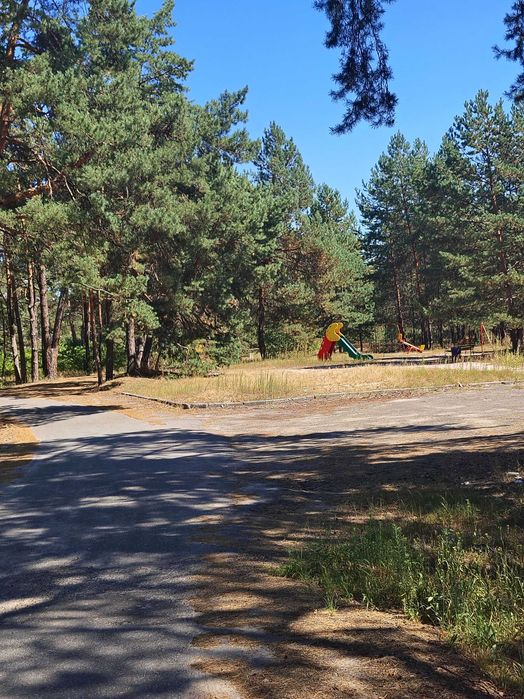 Участок в сосновом лесу в элитном коттеджном пригороде Киева (почти Буковель)