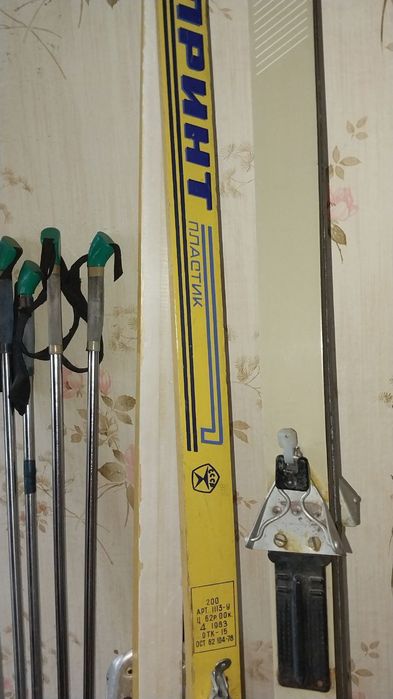 Лижі дорослі та дитячі