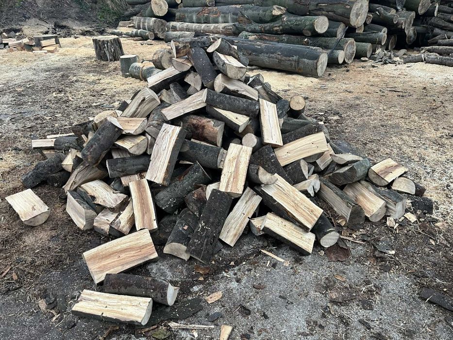Drewno Kominkowe
