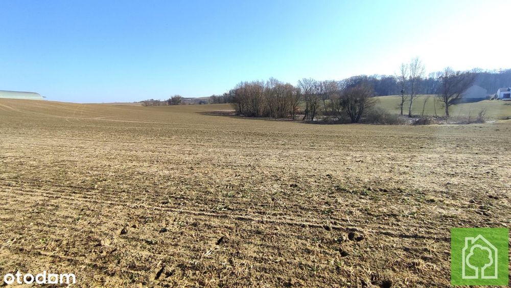 Działka, Wola