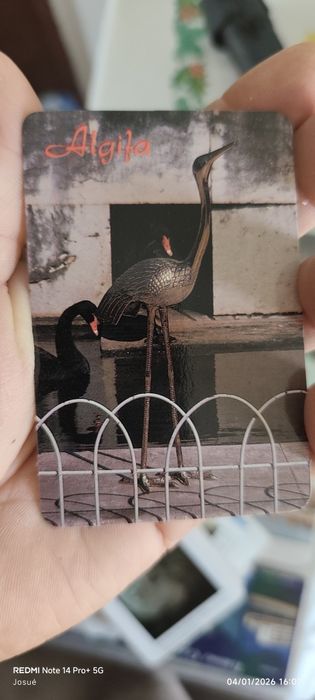 Calendarios de bolso