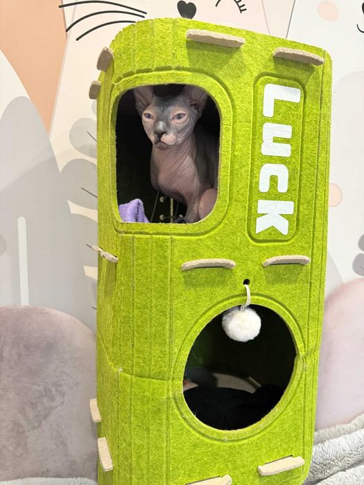 Лежанка для котика або маленькоі собачки когтеточка будинок для кота