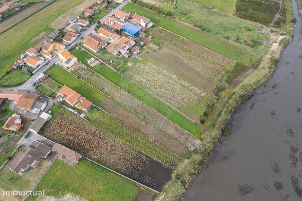 Terreno  para venda