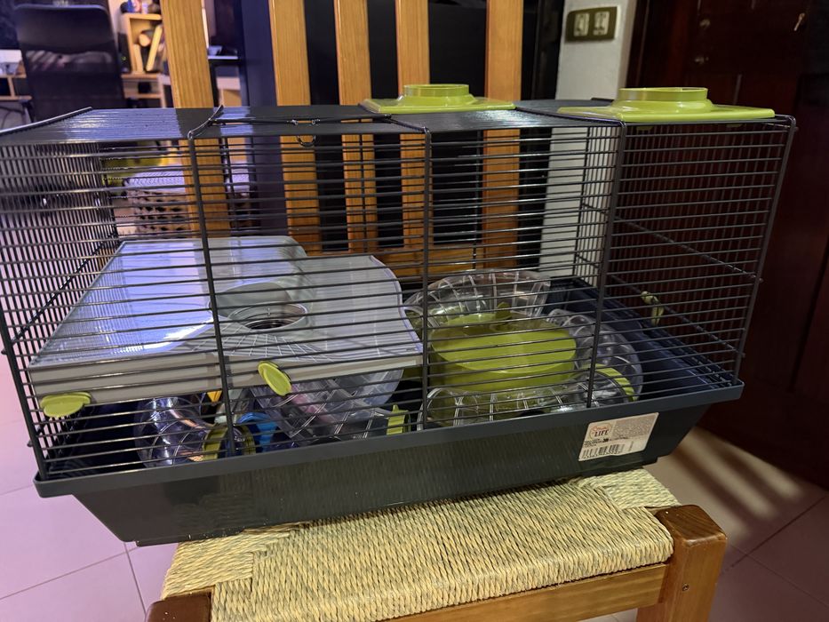 Gailola para Hamster