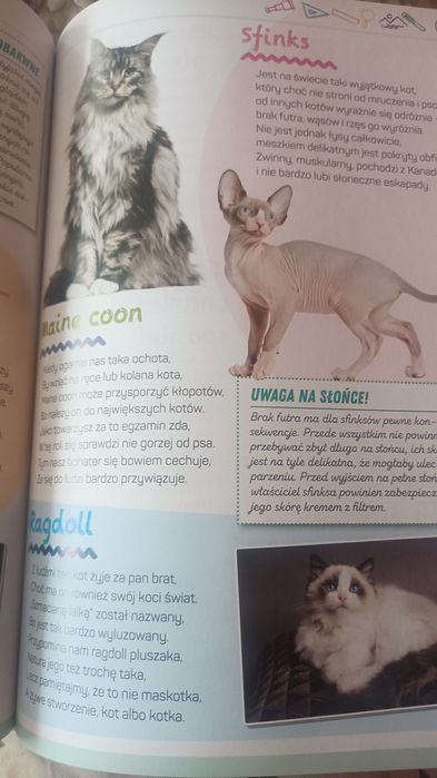 Encyklopedia dla dzieci, książka każdego bystrzaka
