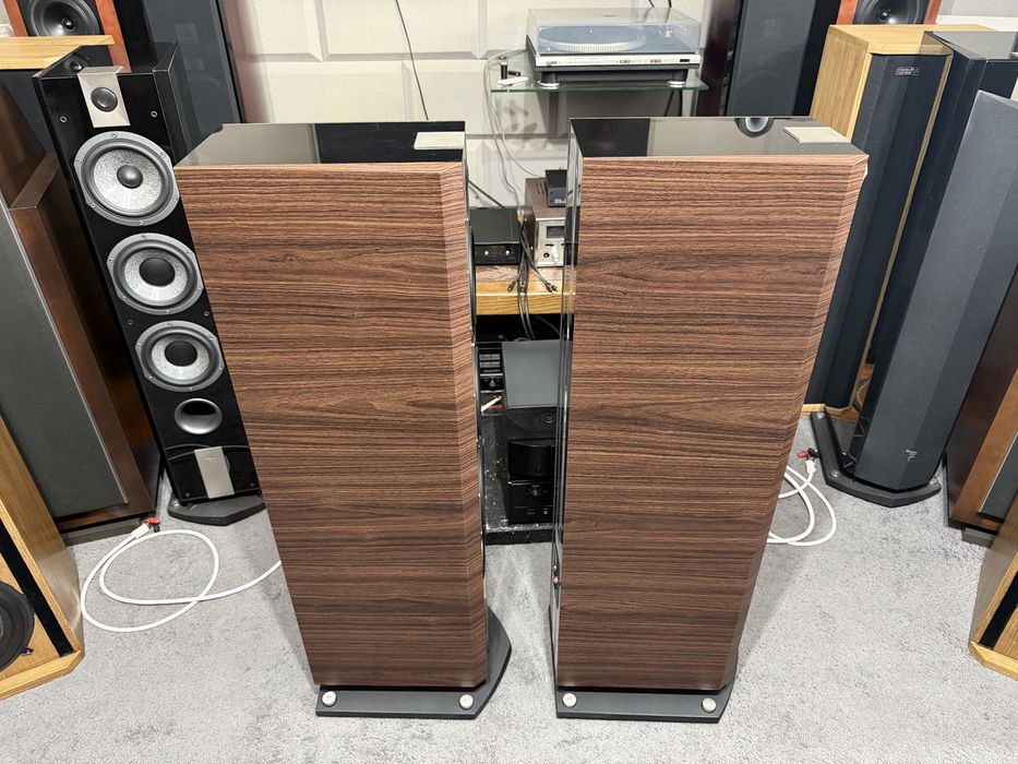 Focal chorus 826v noyer