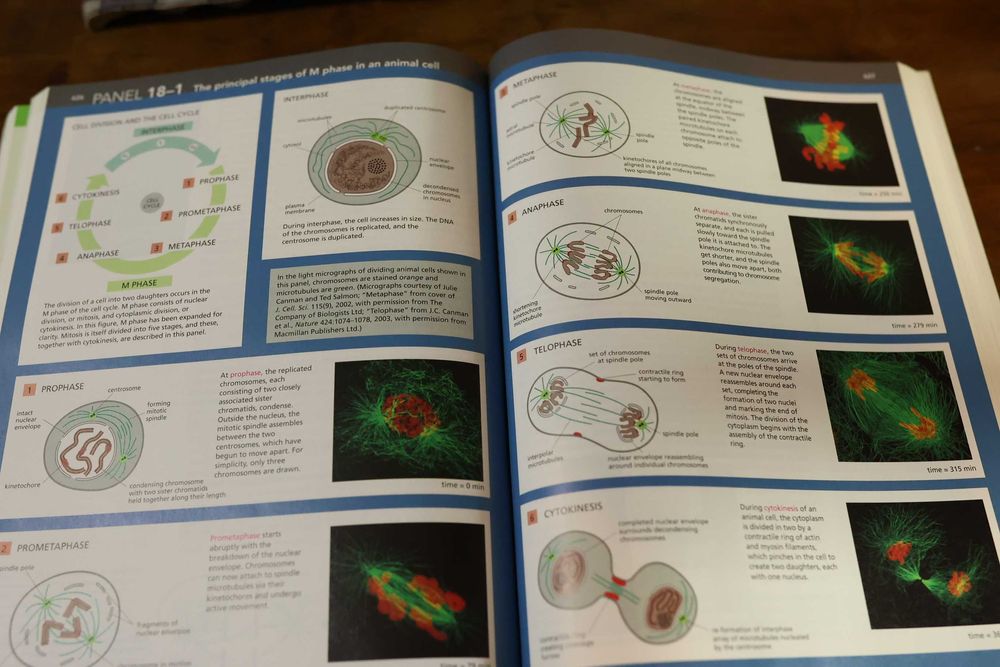 Essential Cell Biology (English) Podręcznik Med. w Języku Angielskim