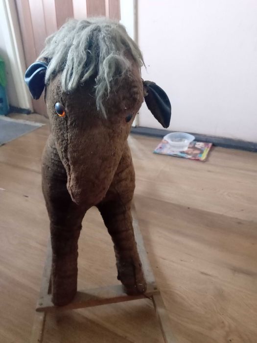 Konik na biegunach