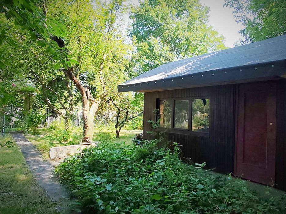 Działka 250 m2 na ROD Wiarus (Ołtaszyn/Partynice)